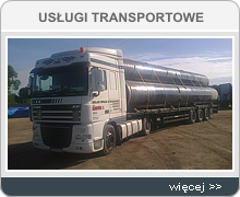 Usługi Transportowe Krzepielów